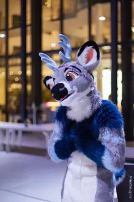 IMG_5462-lr19t.jpg of EF/EF24/