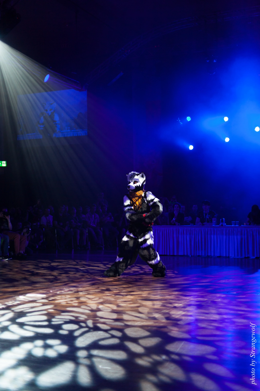 full image IMG_9730-lr16t.jpg
