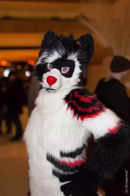 IMG_7079-lr19t.jpg of MFF/MFF2018/