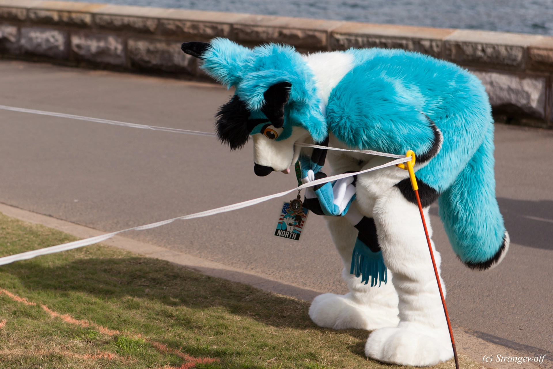 full image IMG_4340-lr19t.jpg