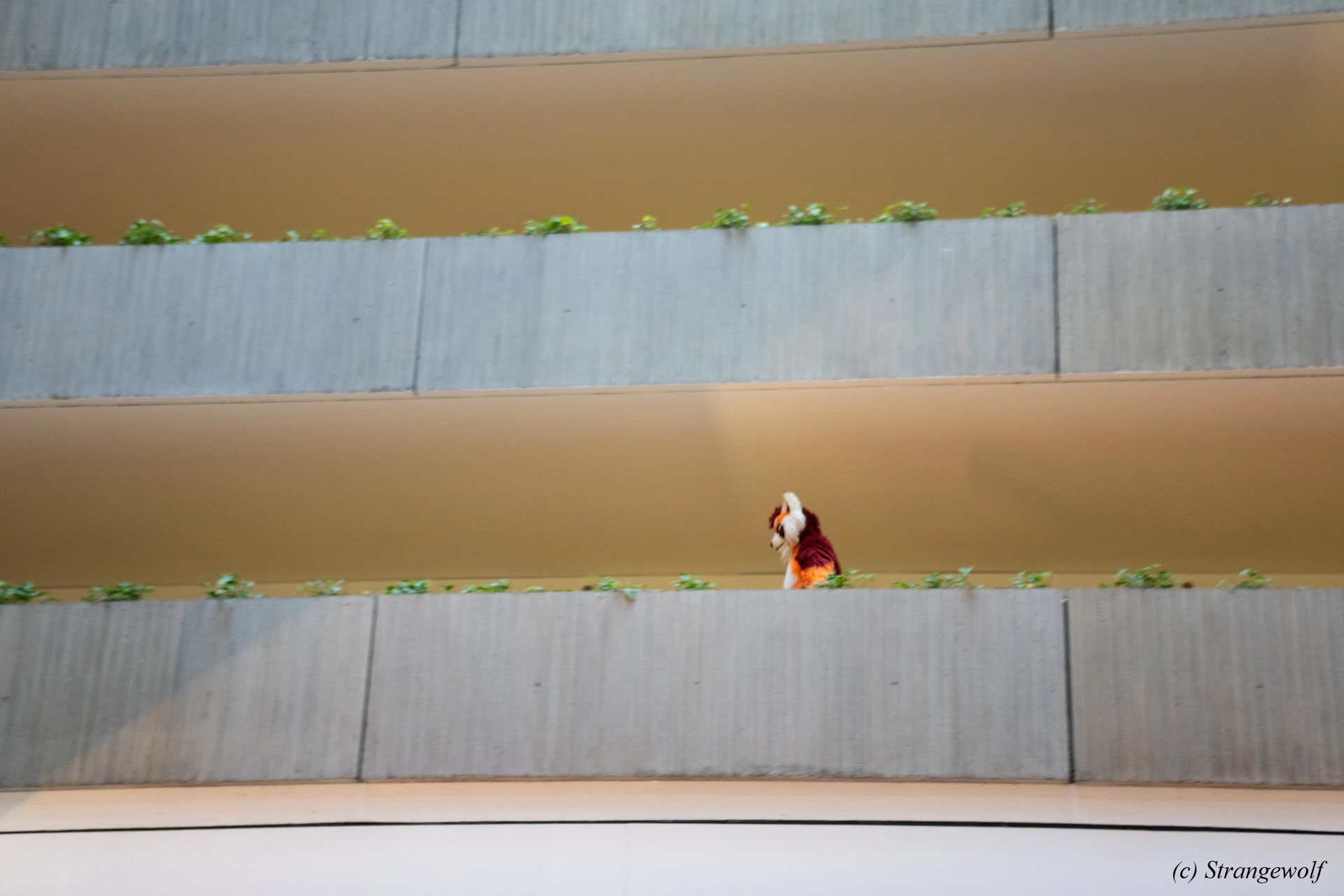 full image 1R3A0203-lr19t.jpg