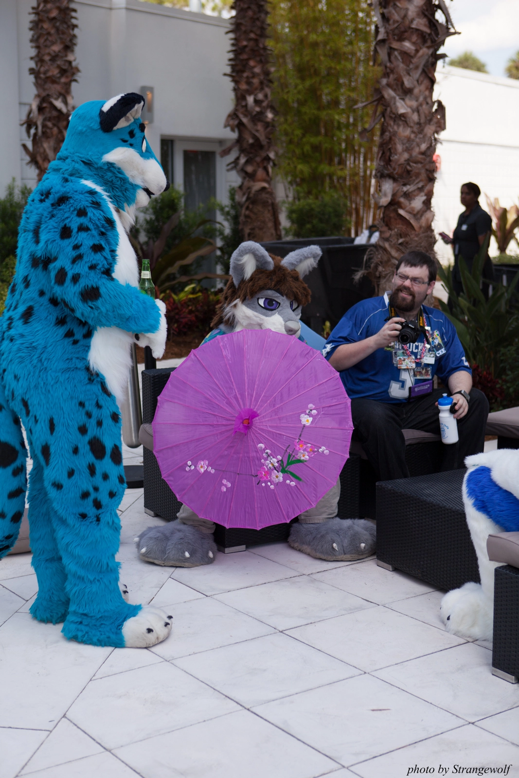 full image IMG_8253-lr16t.jpg