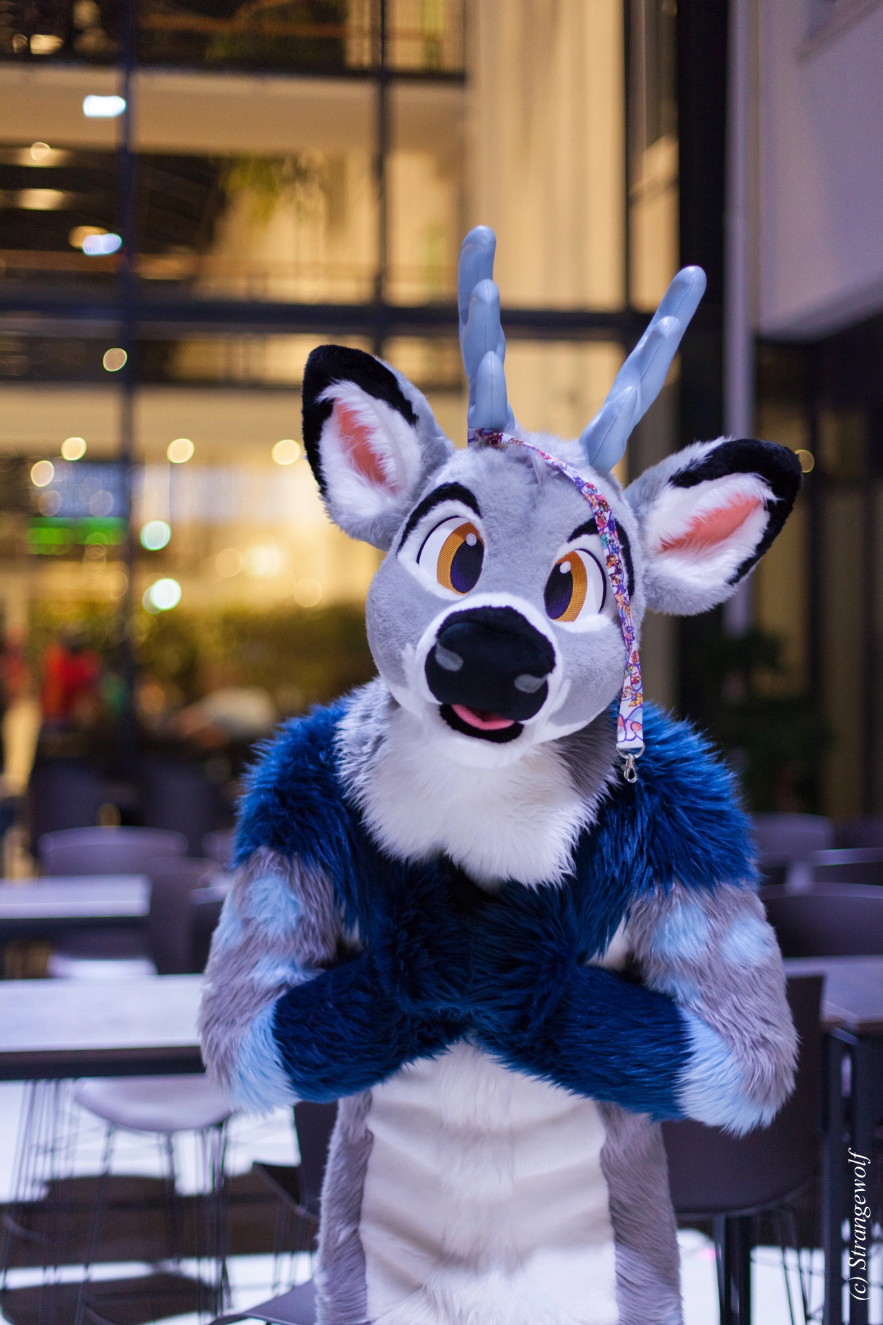 full image IMG_5455-lr19t.jpg