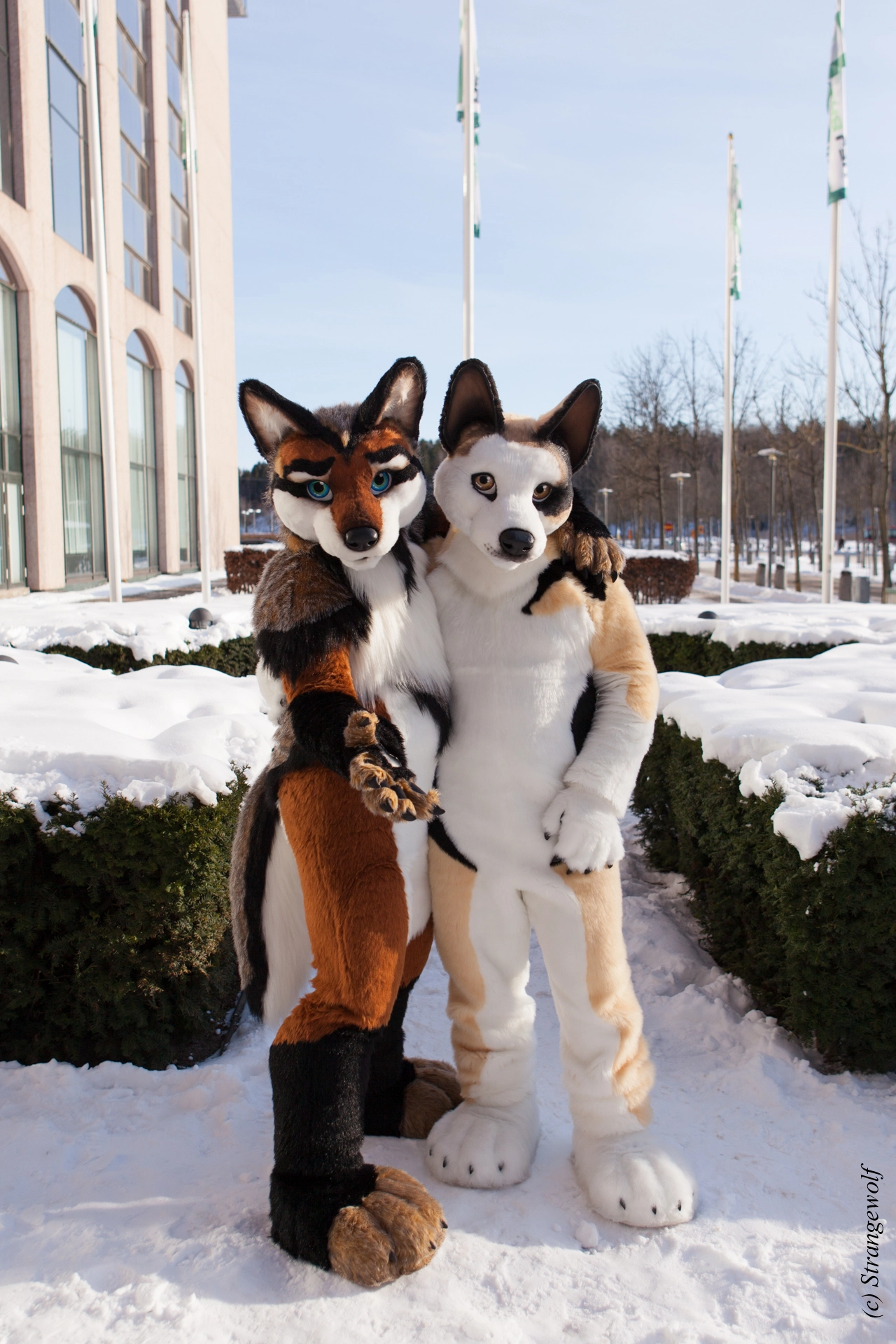 full image IMG_0024-lr19t.jpg