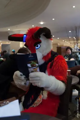 IMG_7732-lr16t.jpg of CFZ/CFZ2016/