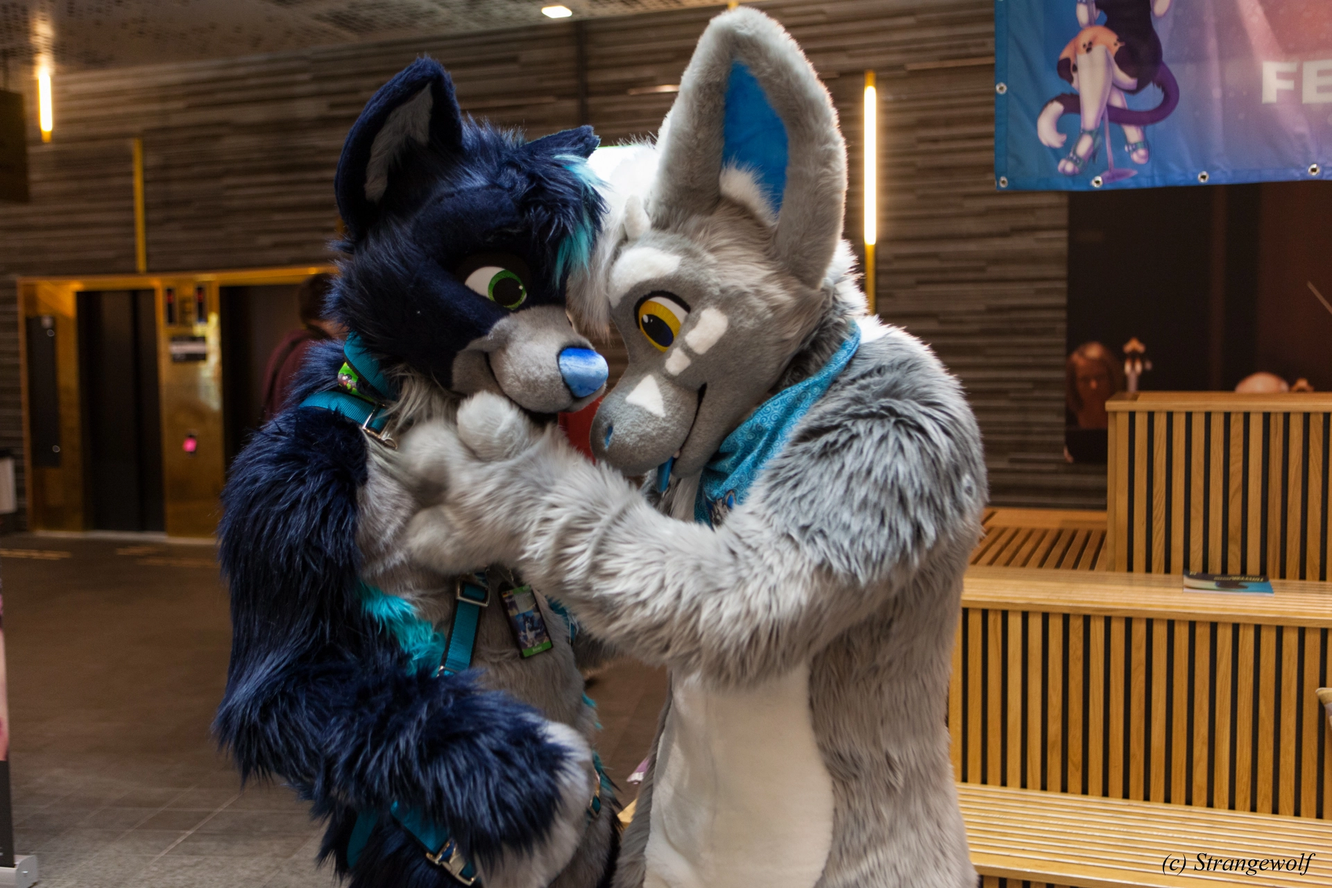 full image IMG_8346-lr19t.jpg