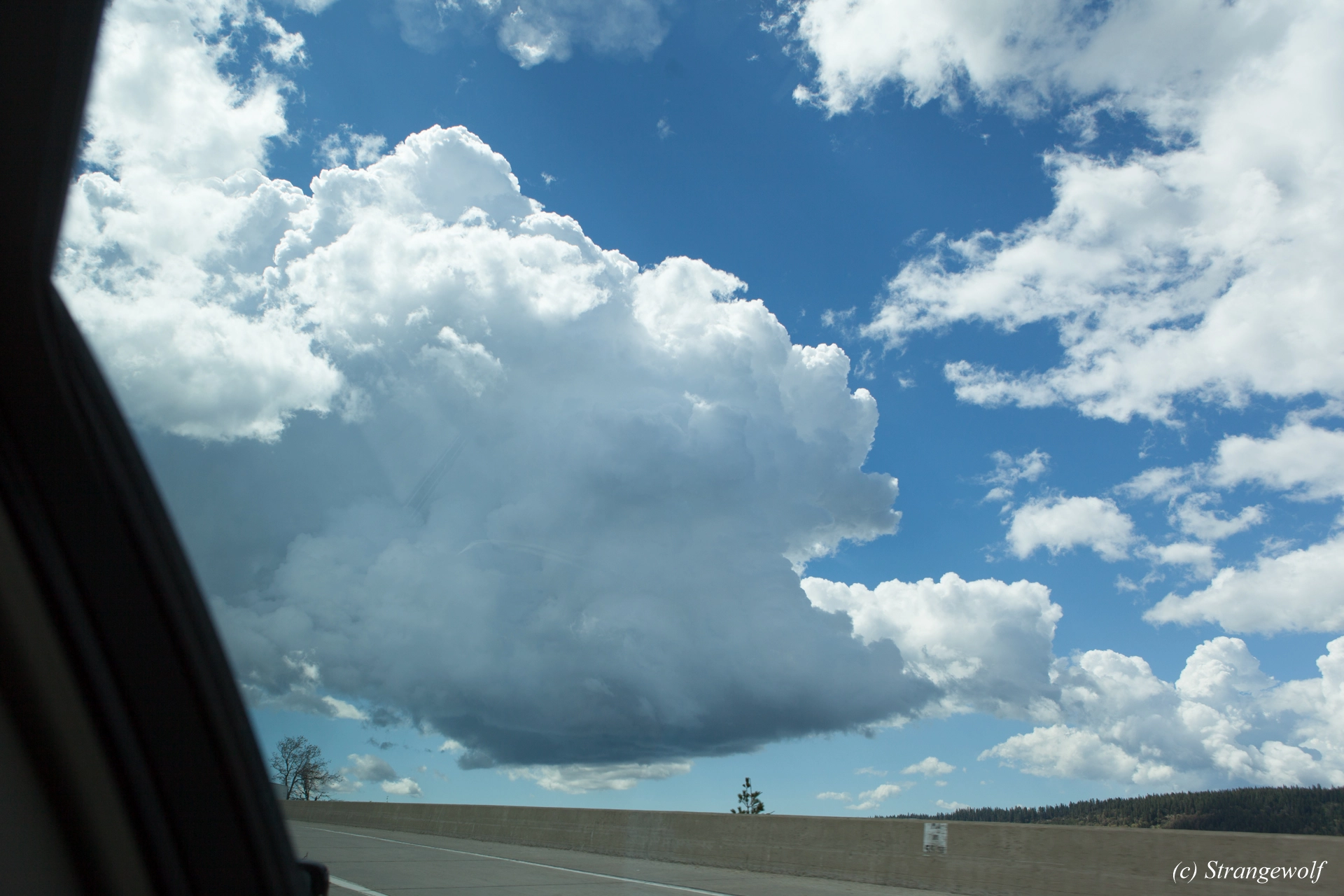 full image IMG_3425-lr19t.jpg