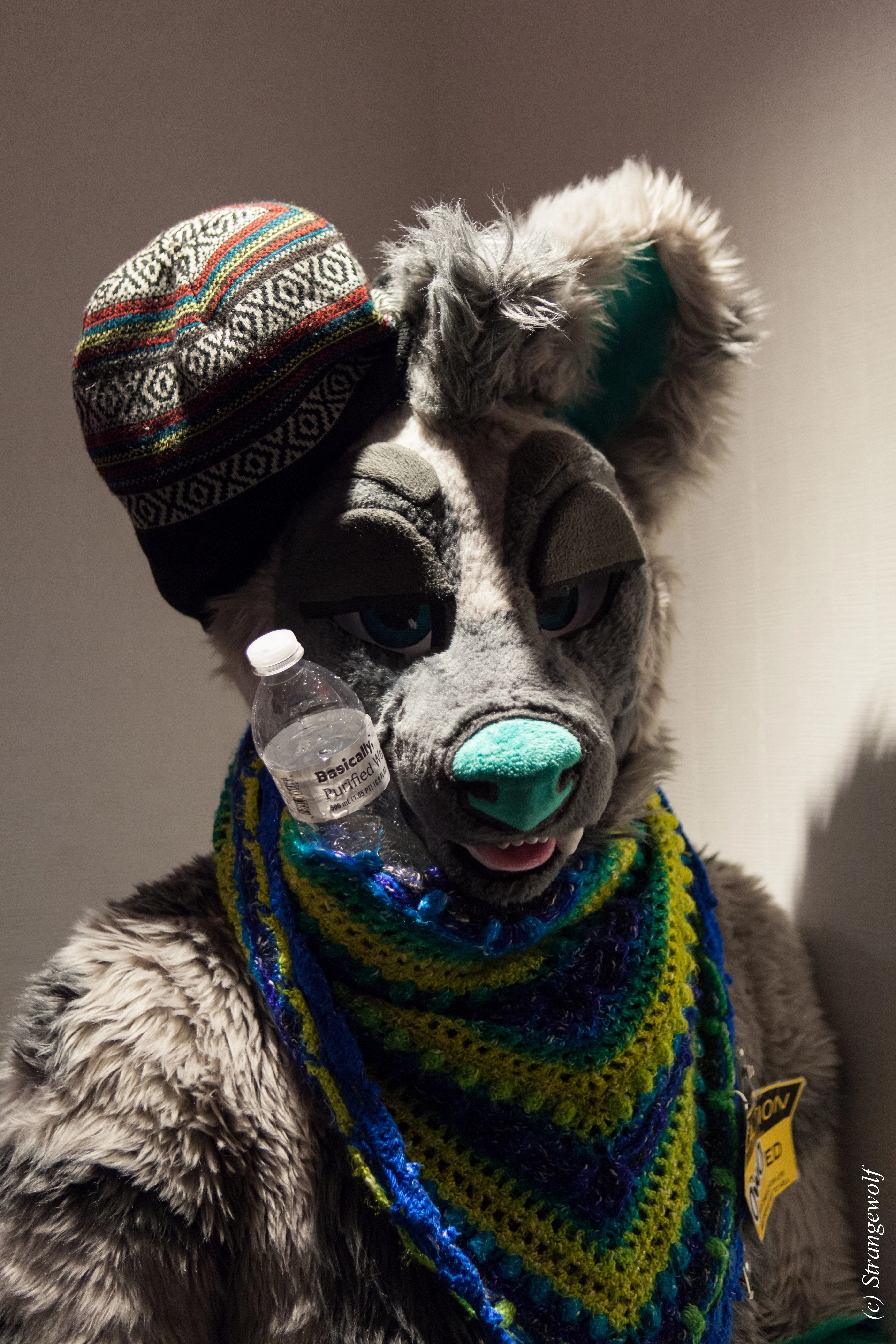 full image IMG_3660-lr.jpg