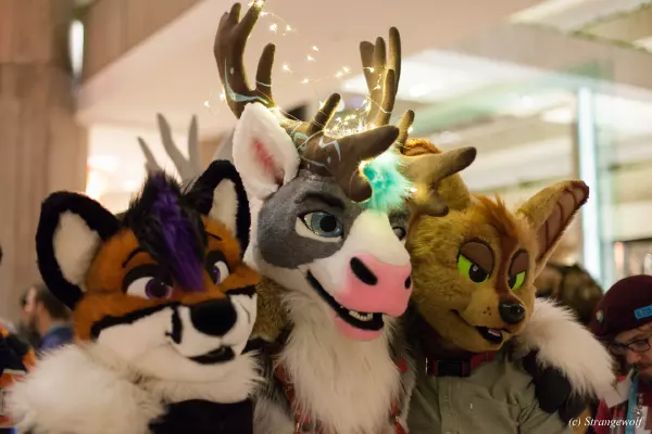 IMG_7344-lr19t.jpg of MFF/MFF2018/