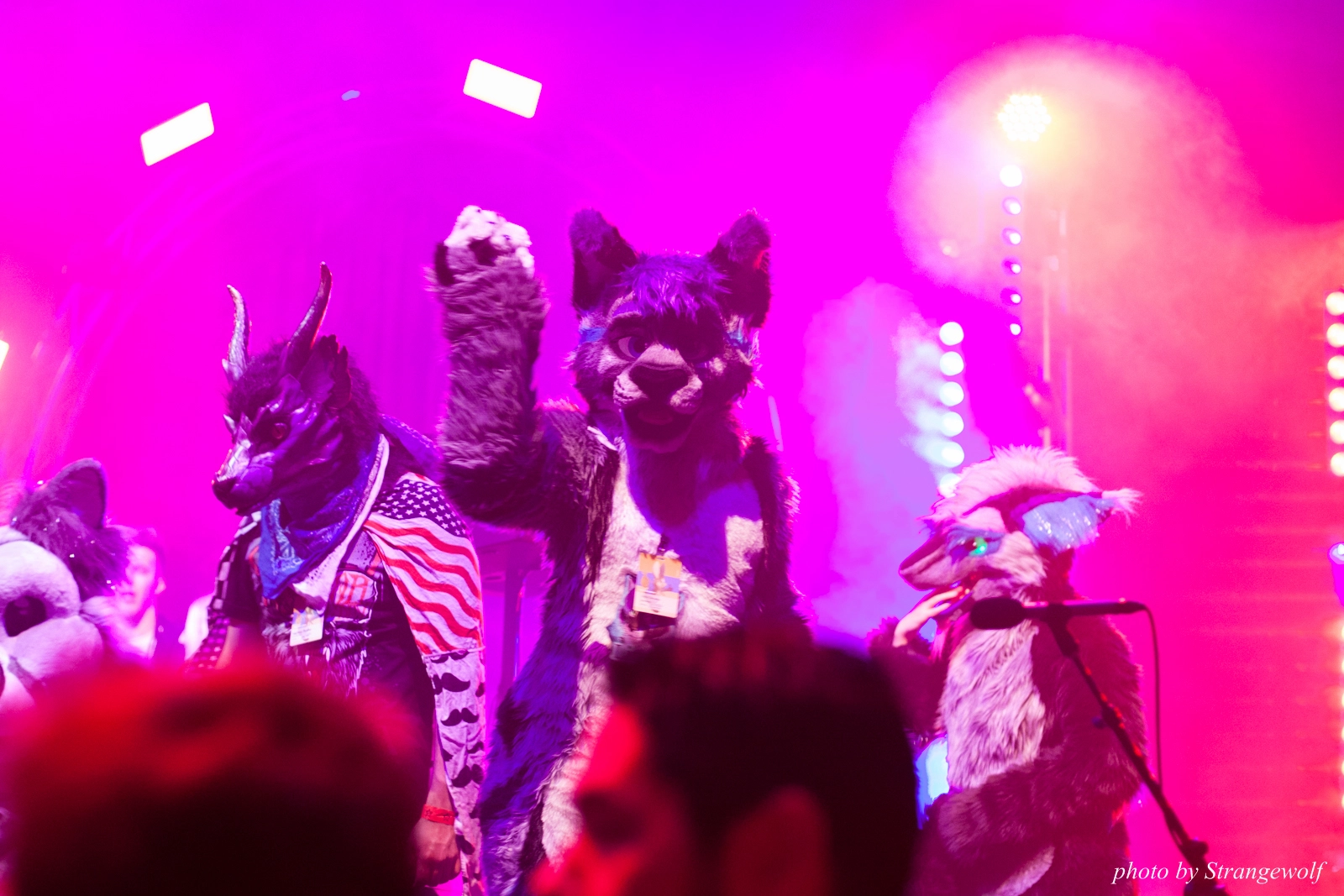 full image IMG_1221-lr16t.jpg