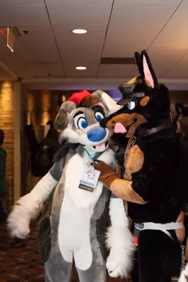 IMG_7256-lr19t.jpg of MFF/MFF2018/