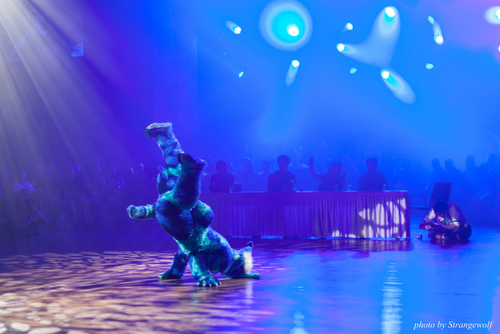 full image IMG_9230-lr16t.jpg