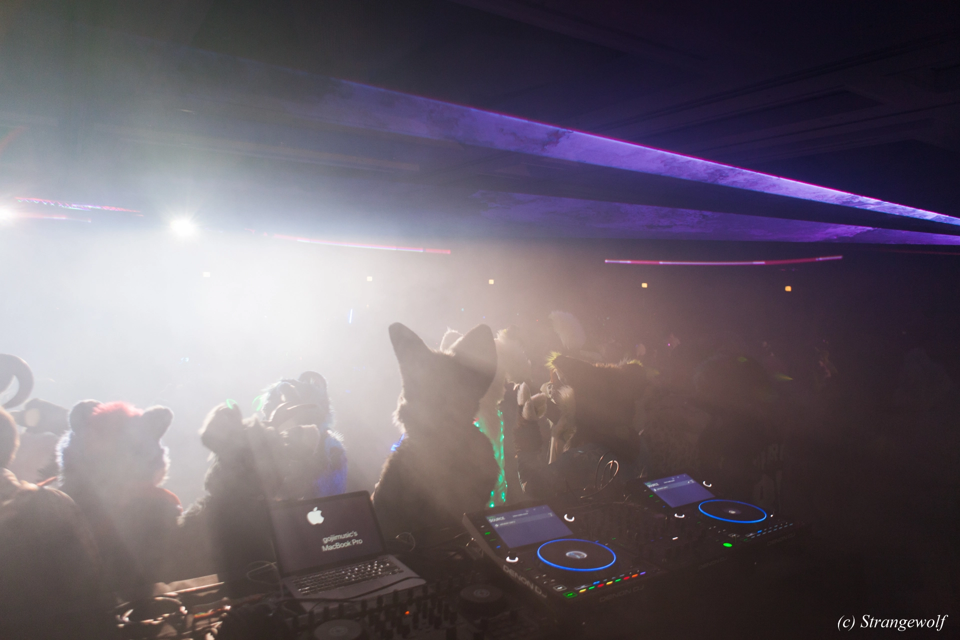 full image IMG_1390-lr19t.jpg