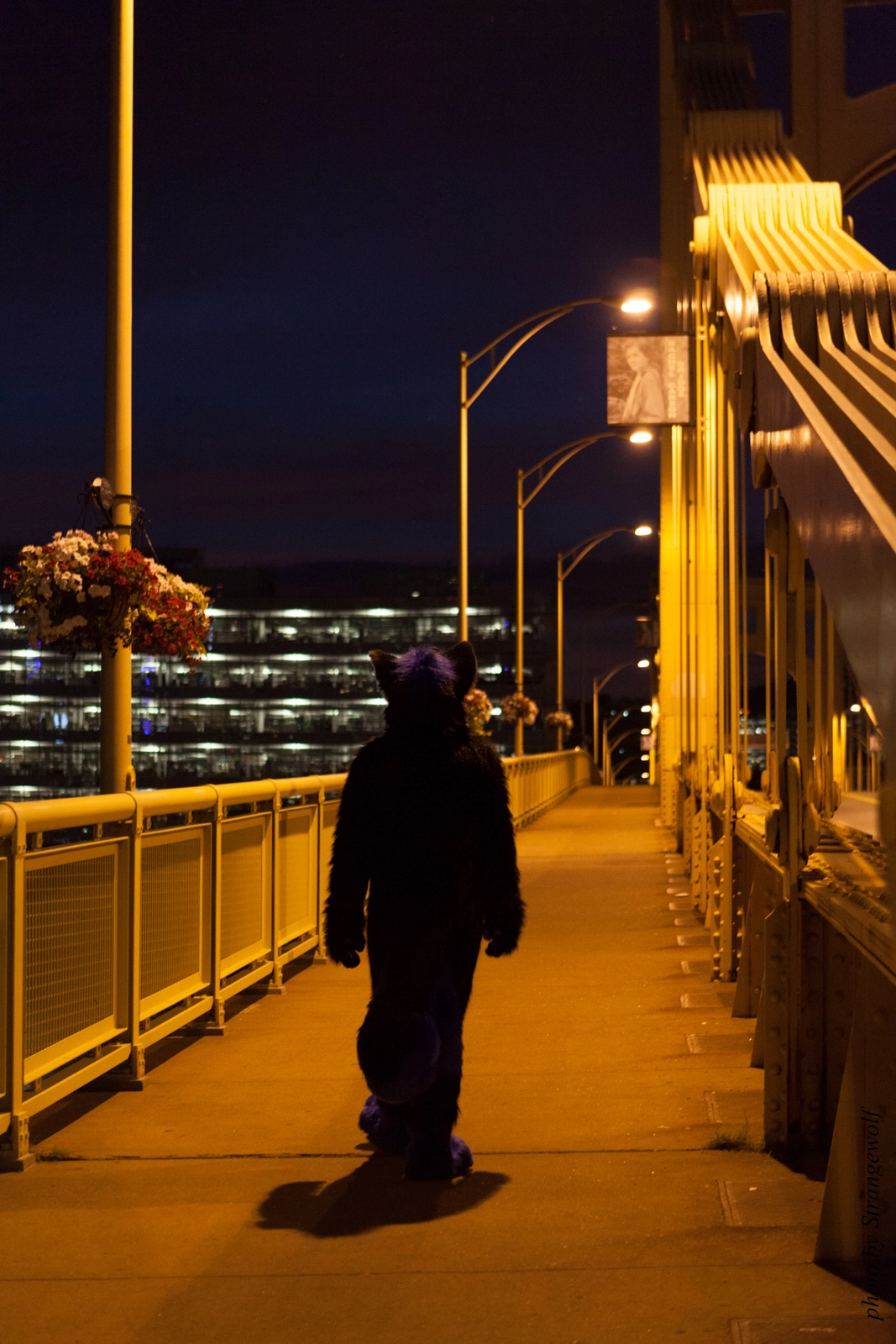 full image IMG_8460-lr16t.jpg