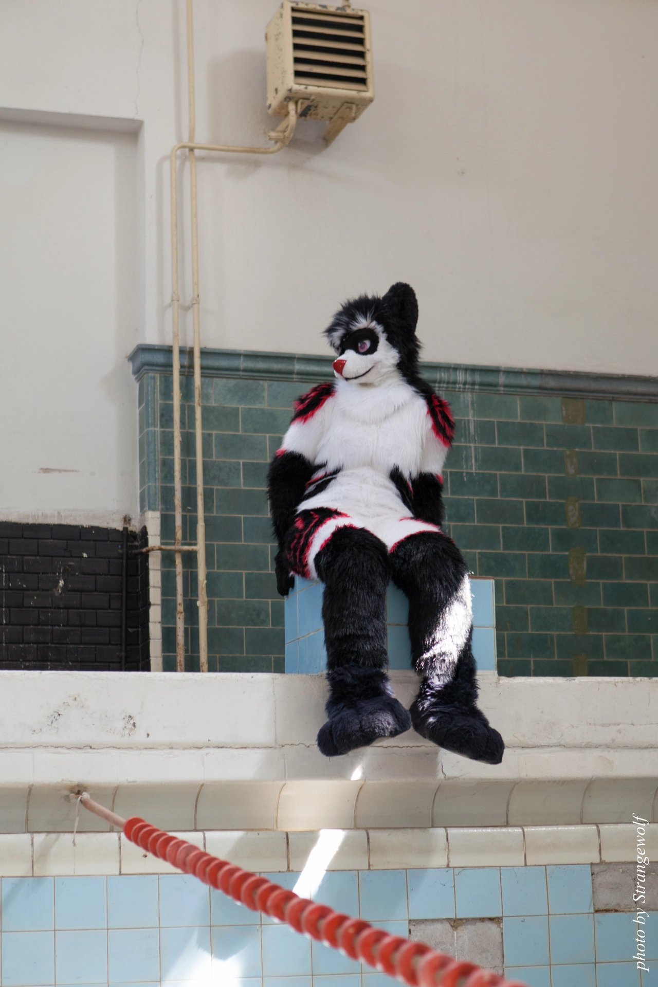 full image IMG_6004-lr19t.jpg