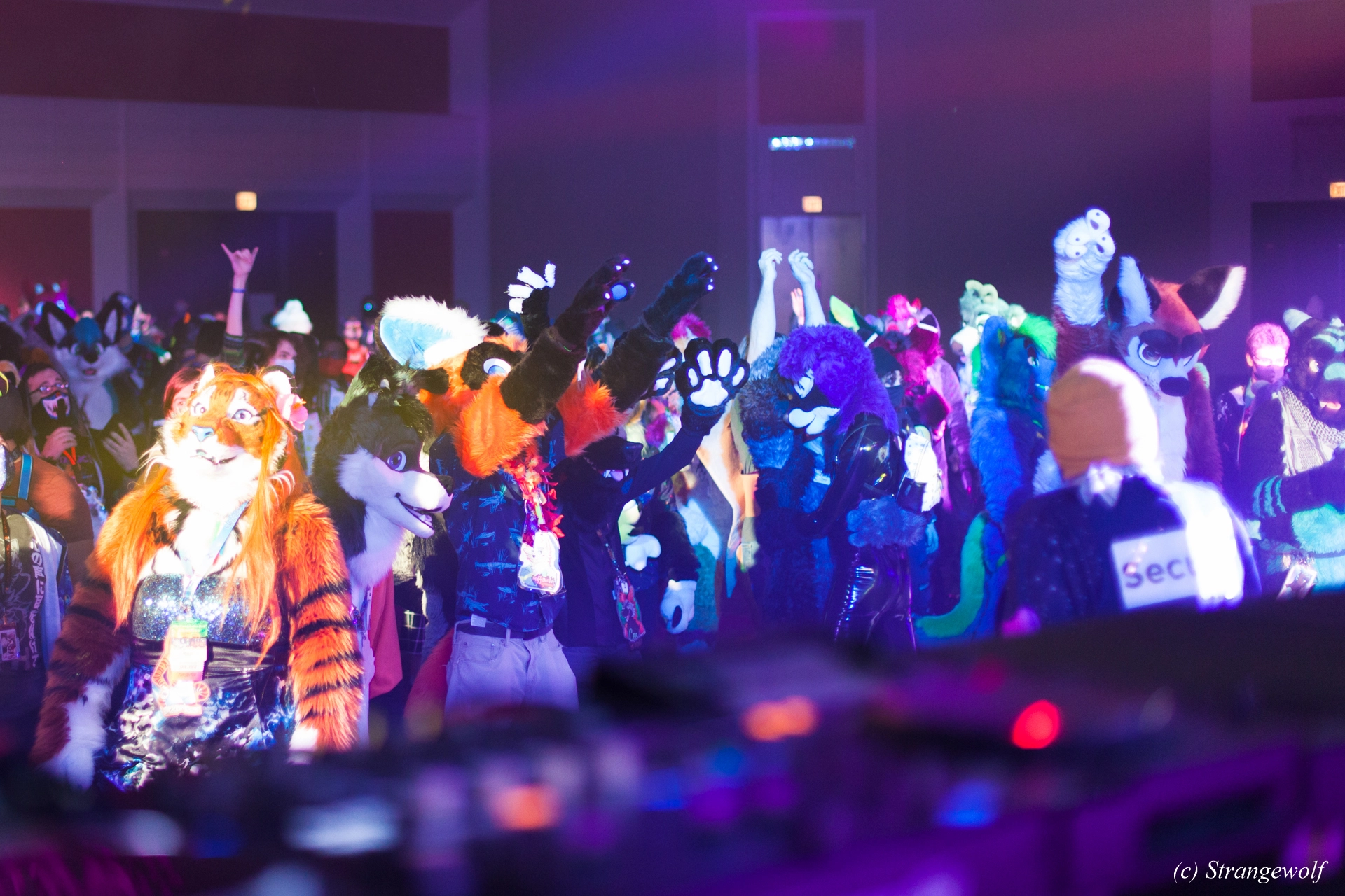 full image IMG_2639-lr19t.jpg