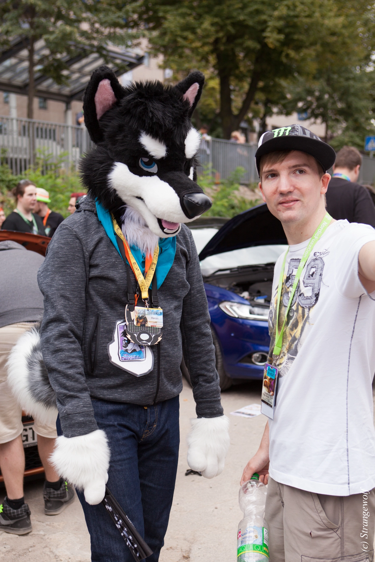 full image IMG_5263-lr19t.jpg