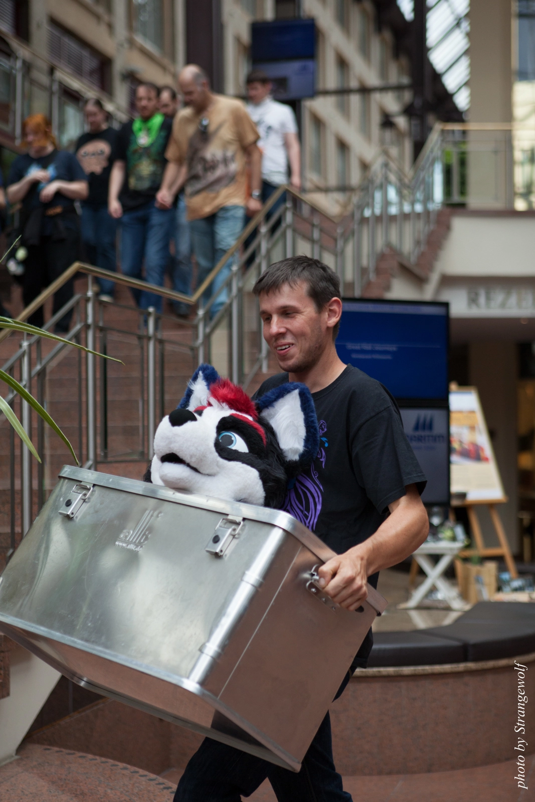 full image IMG_8571-lr16t.jpg