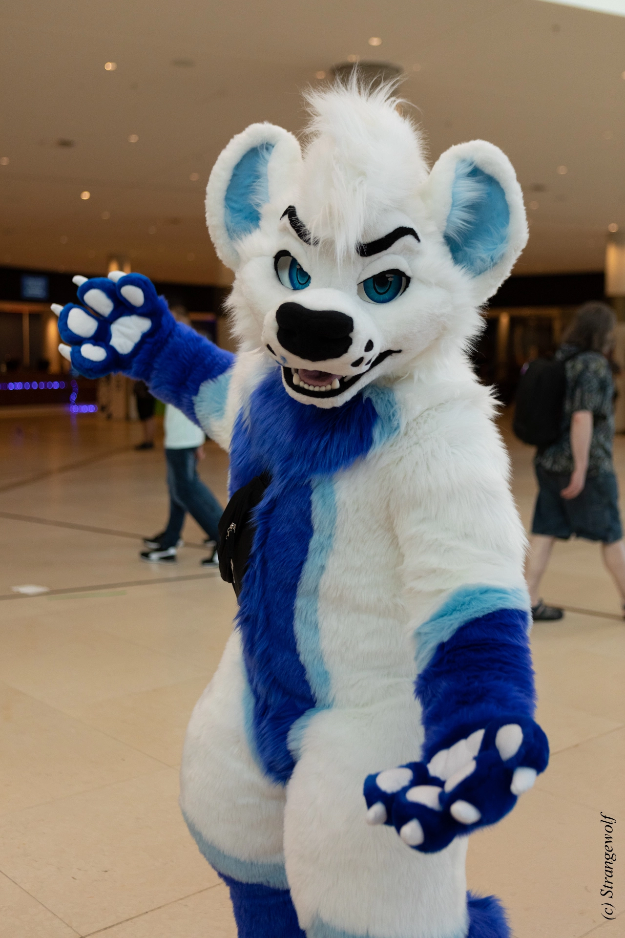 full image 1R3A9056-lr19t.jpg