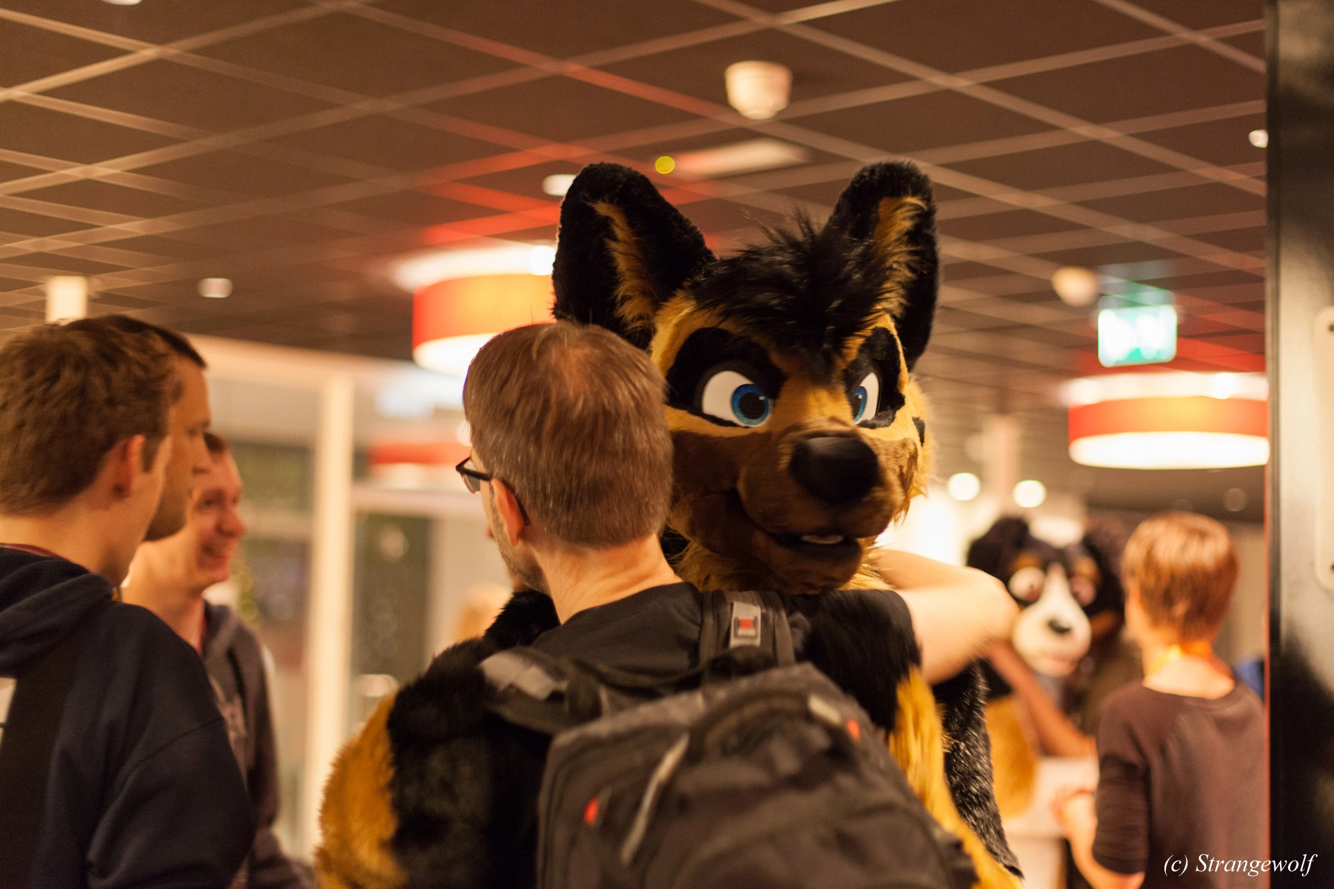 full image IMG_6443-lr19t.jpg