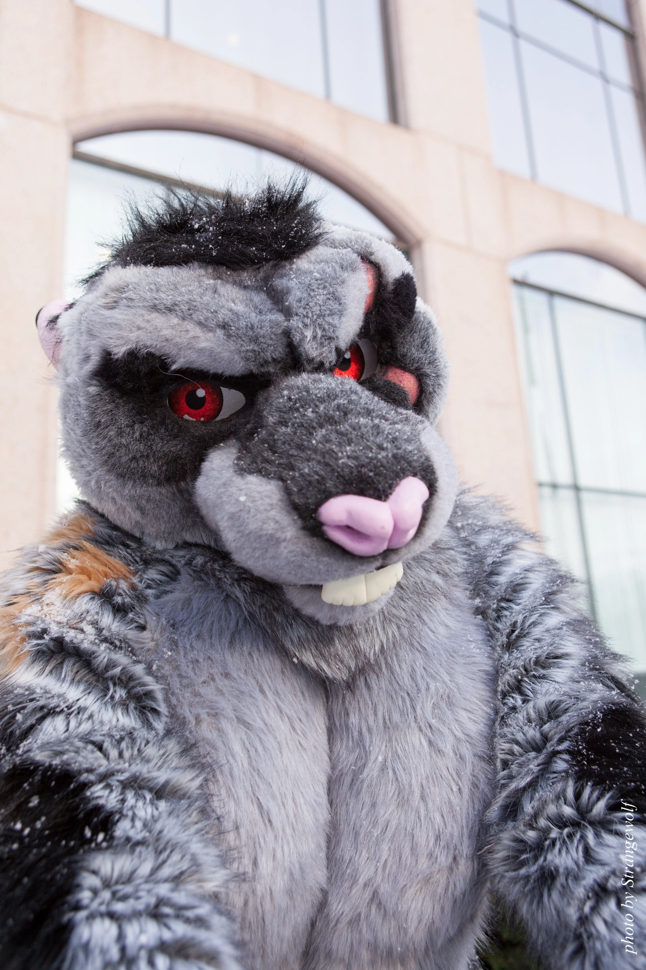 full image IMG_0373-lr19t.jpg