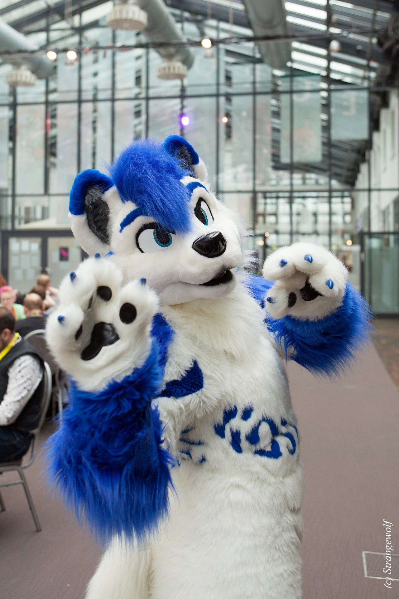 full image IMG_5359-lr19t.jpg