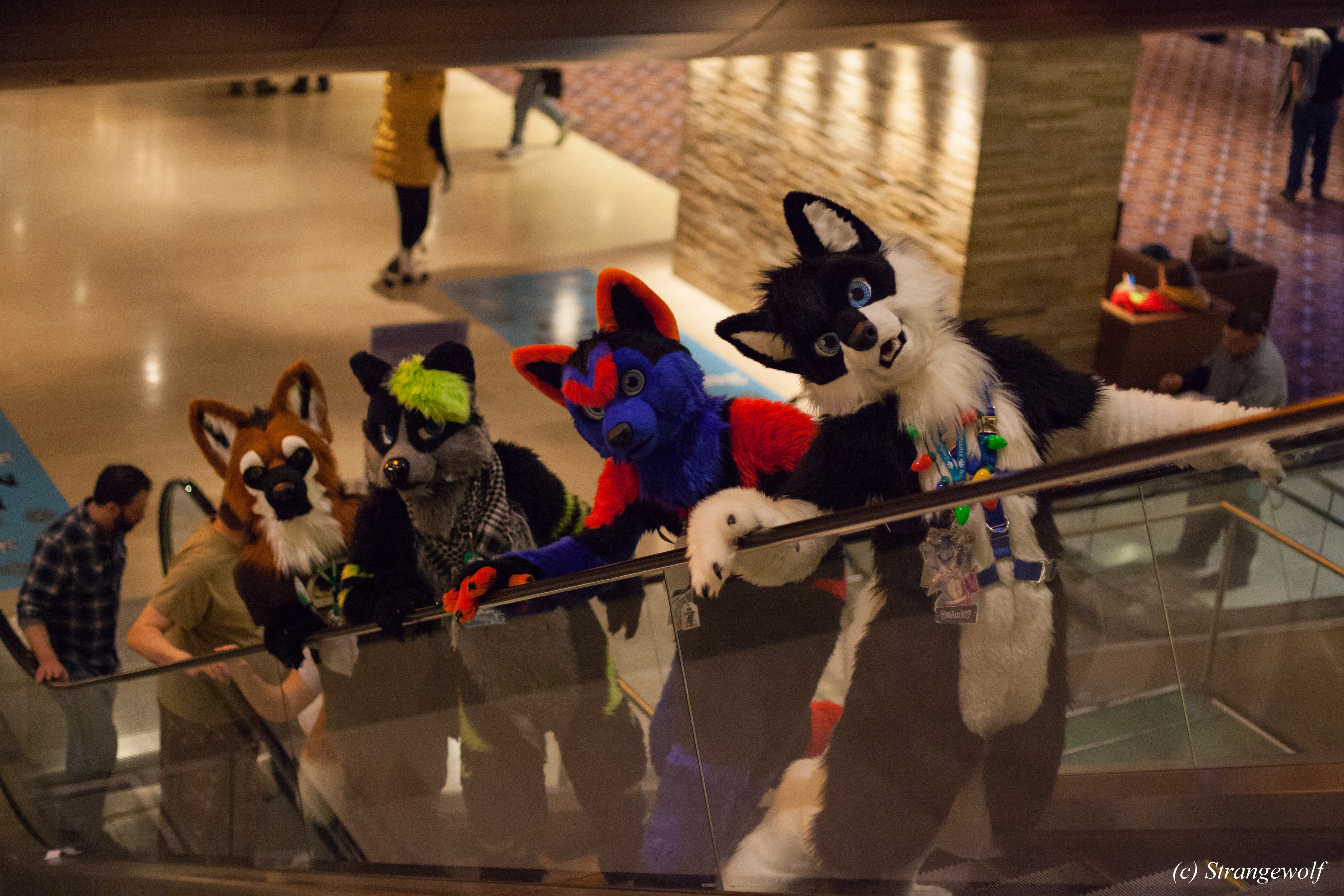 full image IMG_6599-lr.JPG