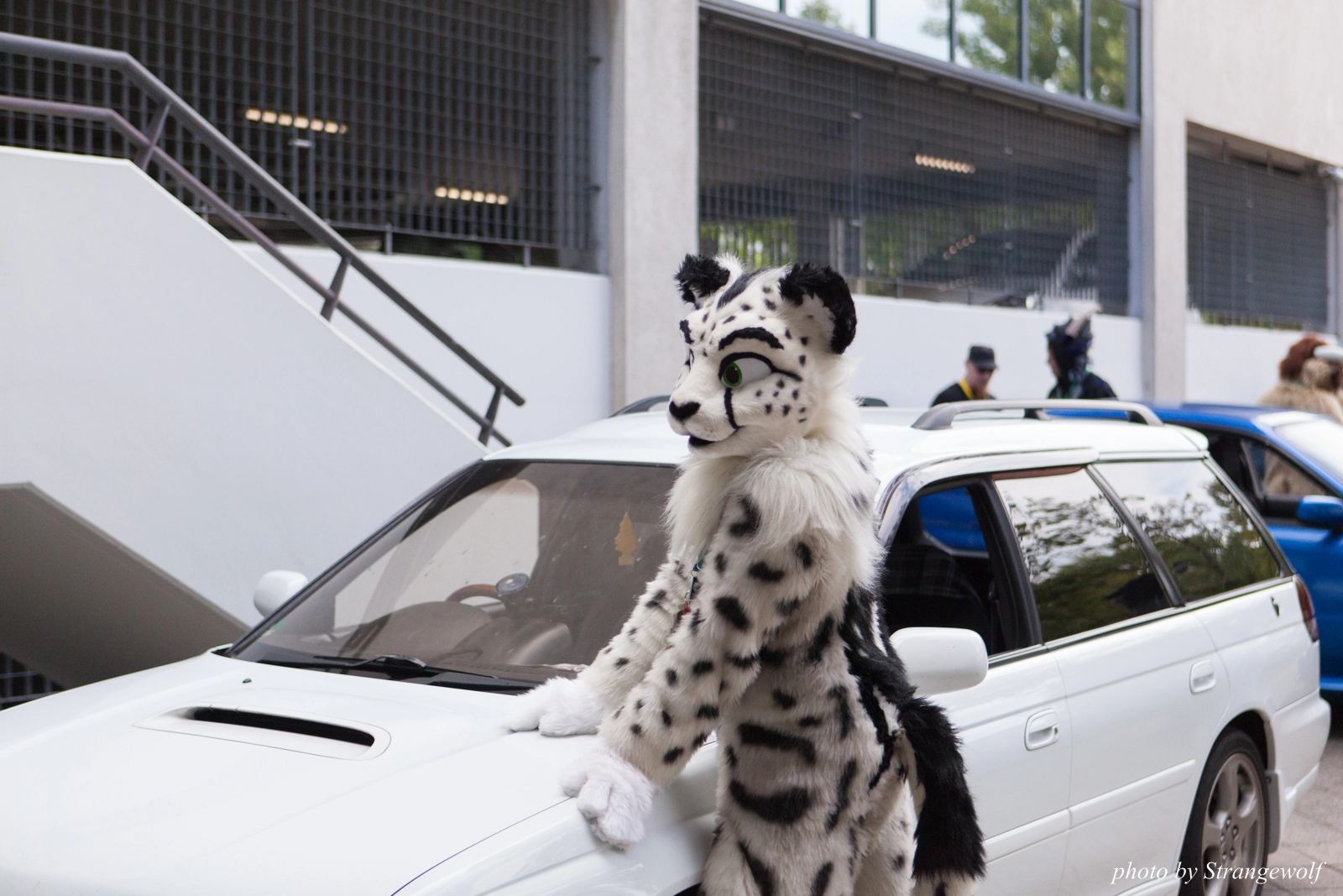 full image IMG_0073-lr16t.jpg
