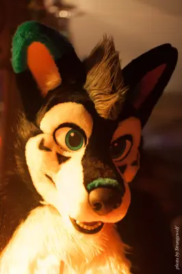 IMG_5422-lr16t.jpg of Laercon/