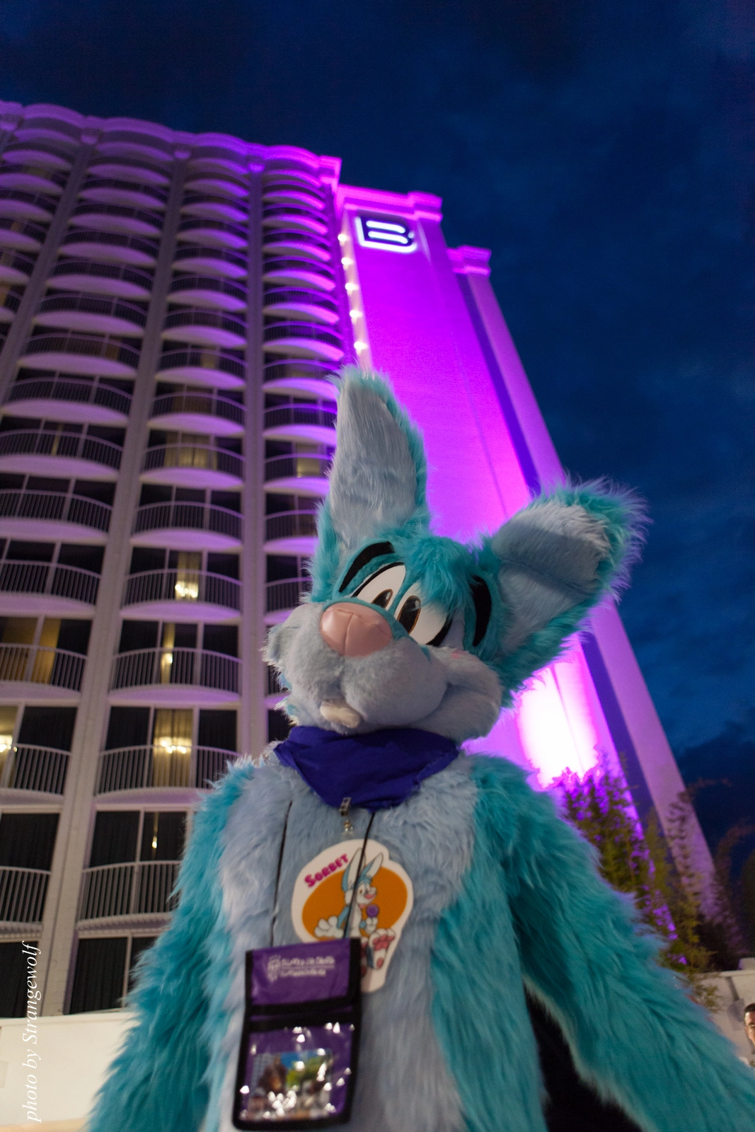 full image IMG_8521-lr16t.jpg