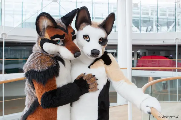 IMG_0509-lr19t.jpg of NFC/NFC2018/