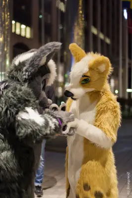 IMG_9399-lr19t.jpg of NFC/NFC2019/