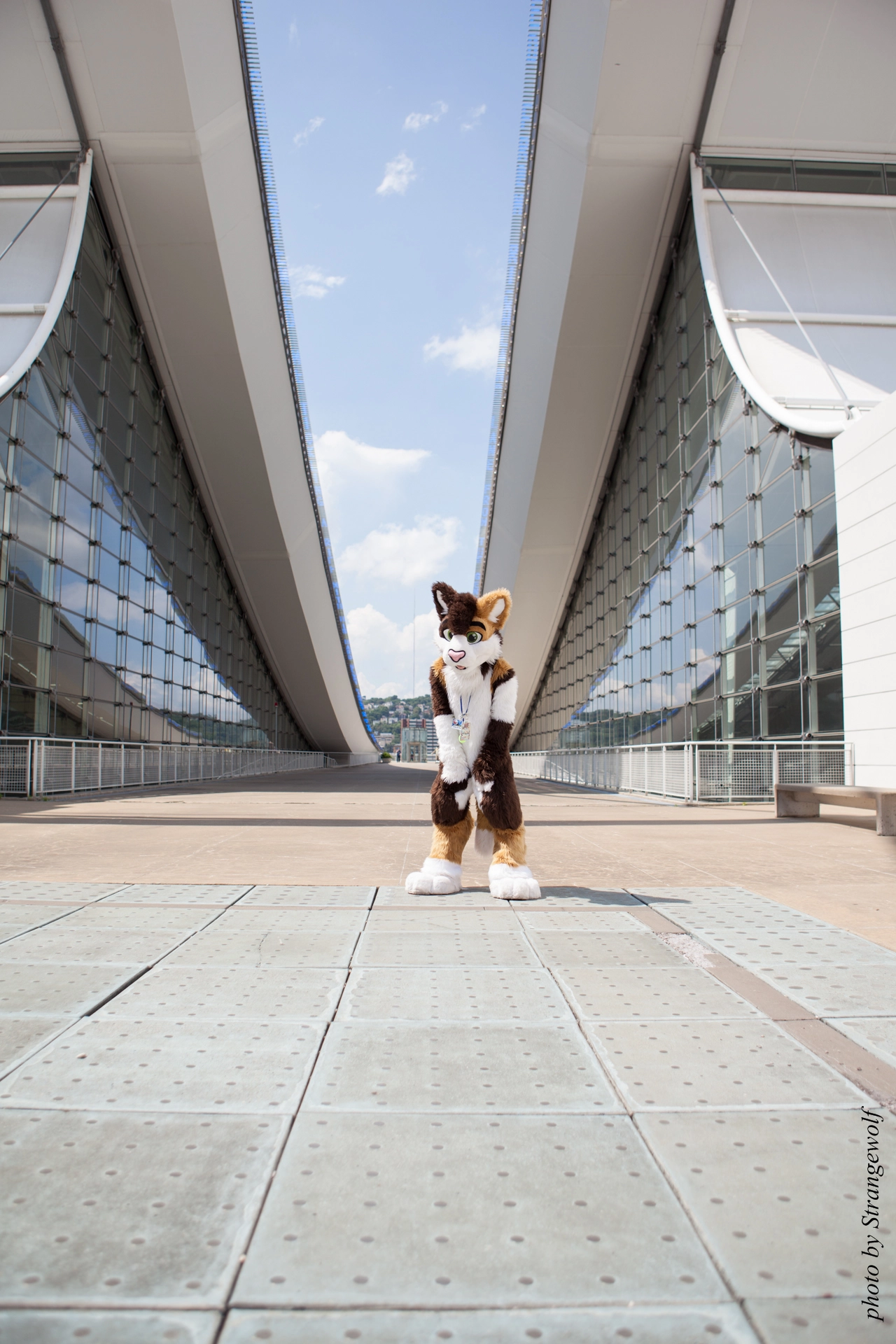 full image IMG_4165-lr19t.jpg