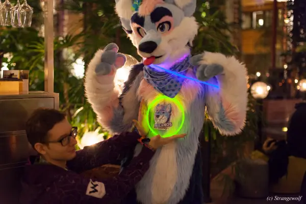 IMG_9831-lr19t.jpg of NFC/NFC2019/