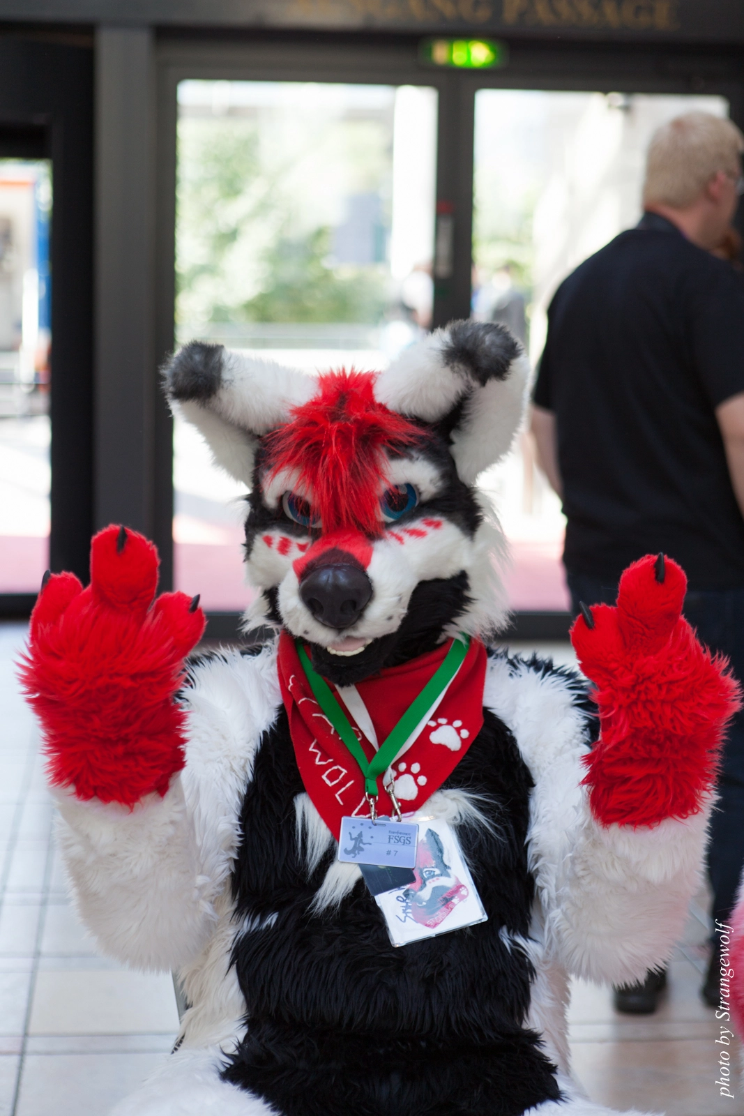 full image IMG_1825-lr16t.jpg
