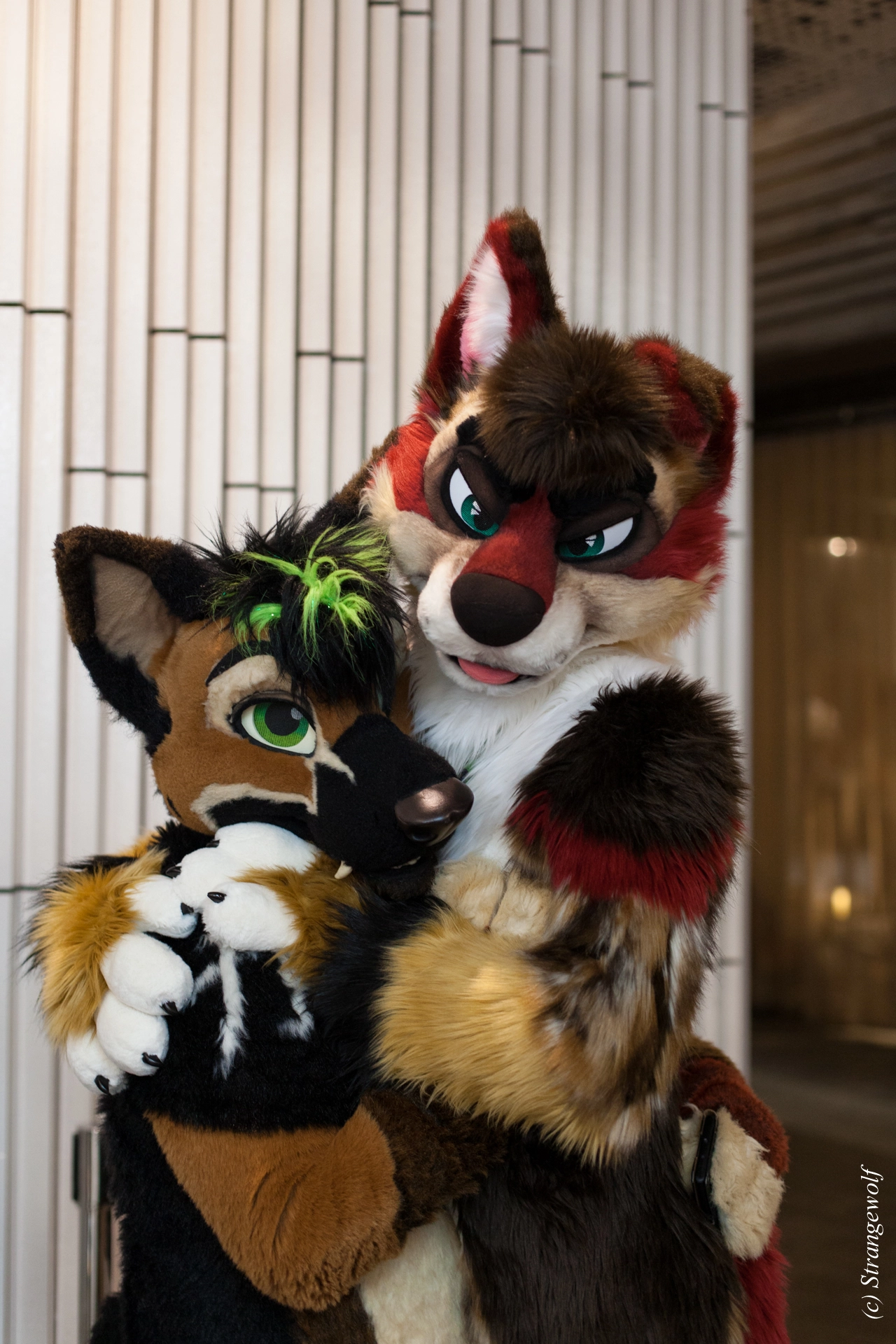 full image IMG_9371-lr19t.jpg