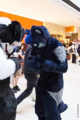 IMG_8156-lr19t.jpg of MFF/MFF2017/