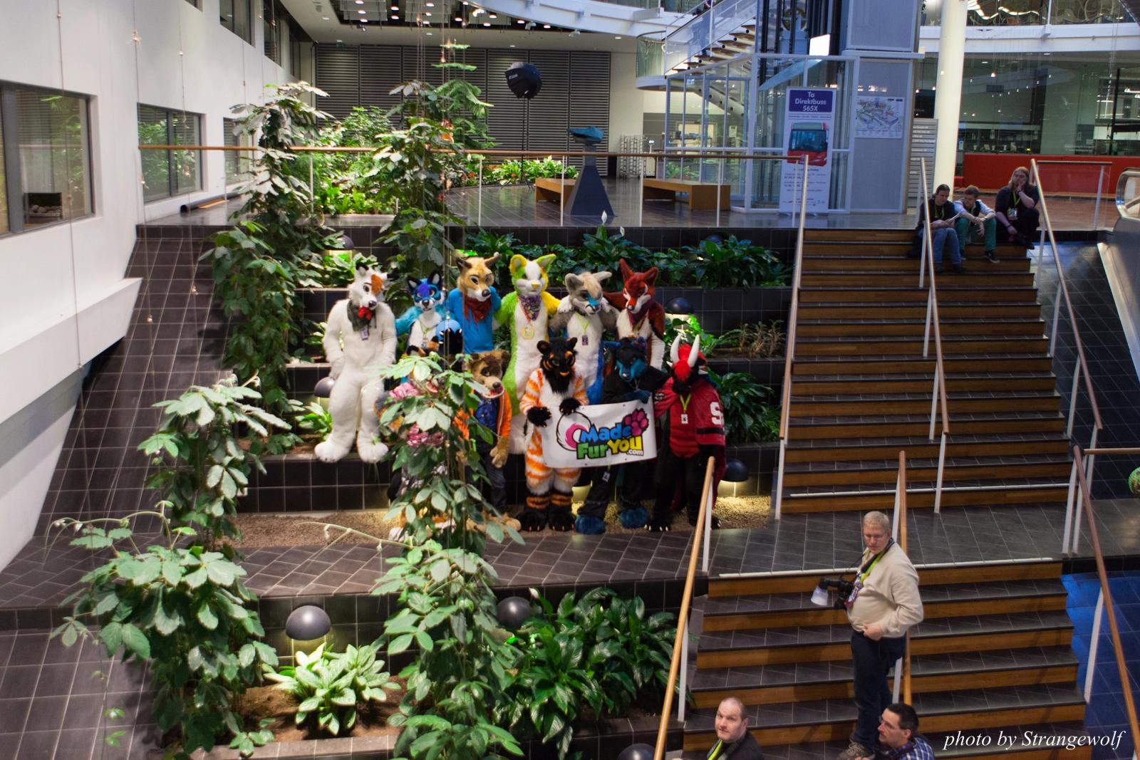 full image IMG_1689-lr16t.jpg