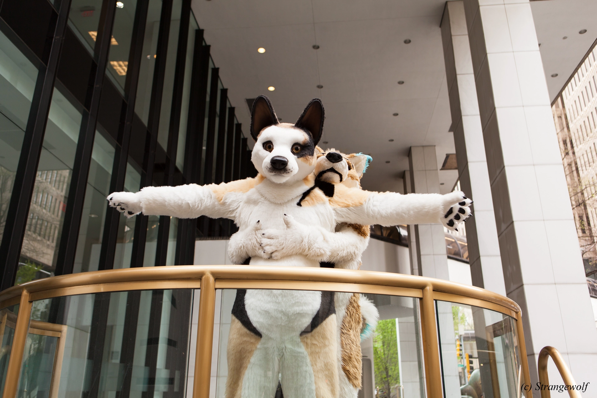 full image IMG_1722-lr19t.jpg