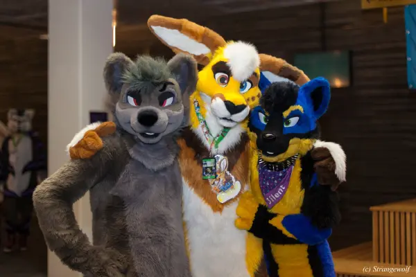 IMG_9179-lr19t.jpg of NFC/NFC2020/