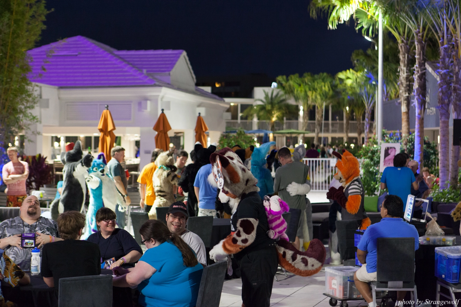 full image IMG_8551-lr16t.jpg