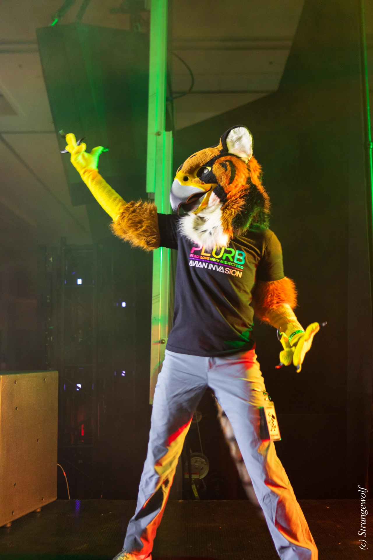 full image 1R3A4774-lr19t.jpg