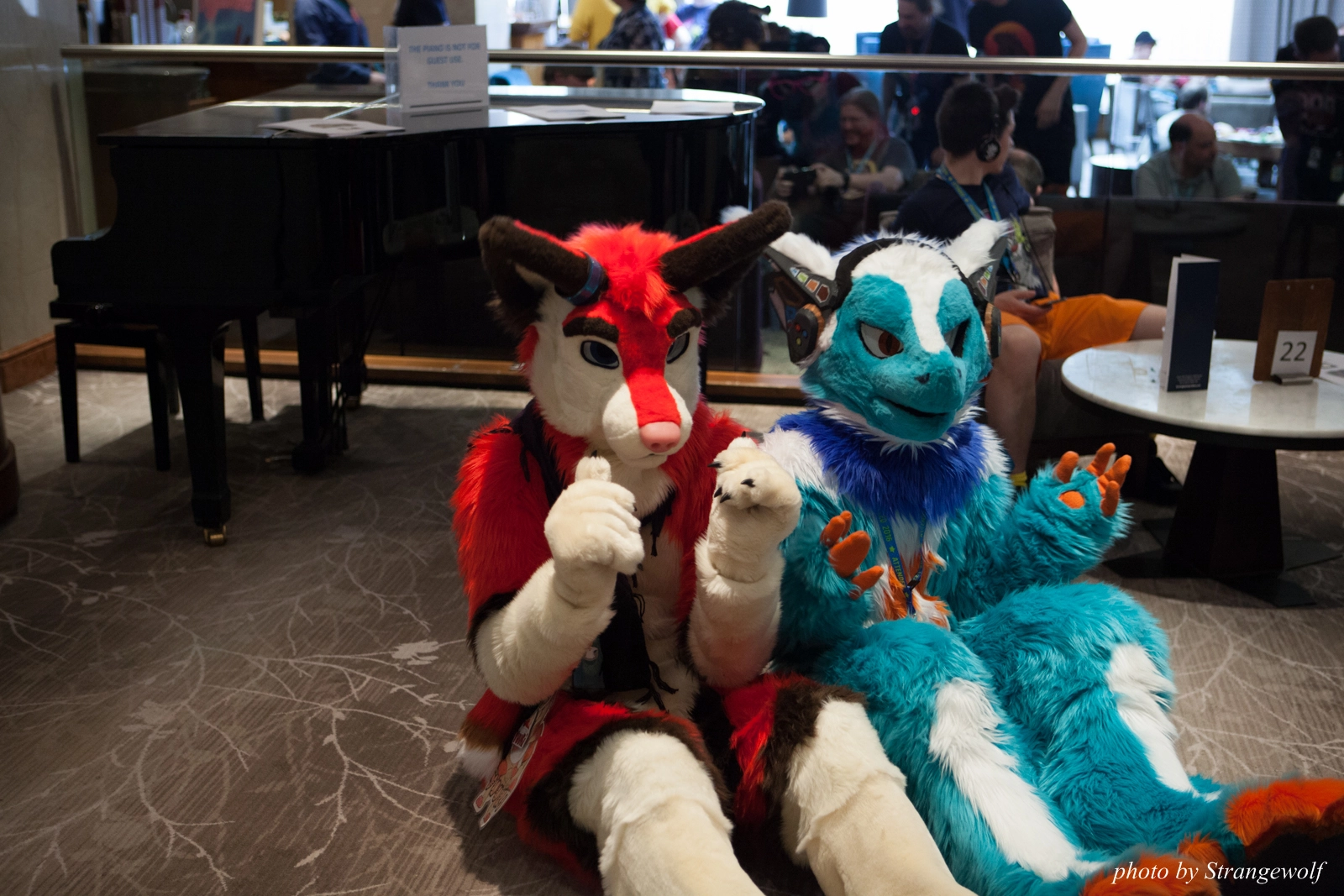 full image IMG_7438-lr16t.jpg