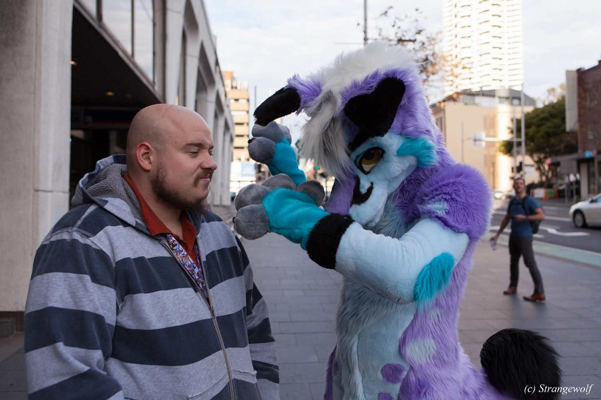 full image IMG_4551-lr19t.jpg