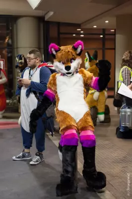 IMG_7331-lr19t.jpg of MFF/MFF2018/