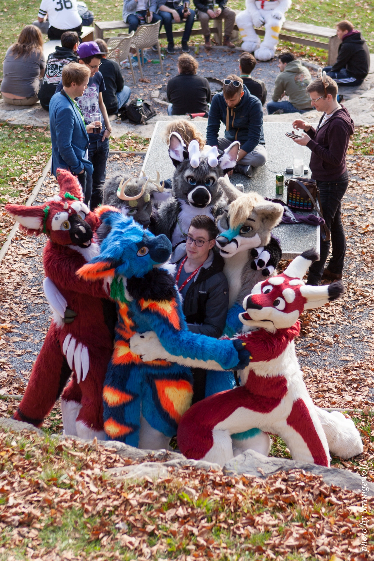 full image IMG_7830-lr19t.jpg