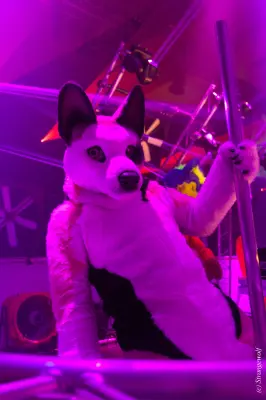 IMG_5056-lr19t.jpg of EF/EF24/