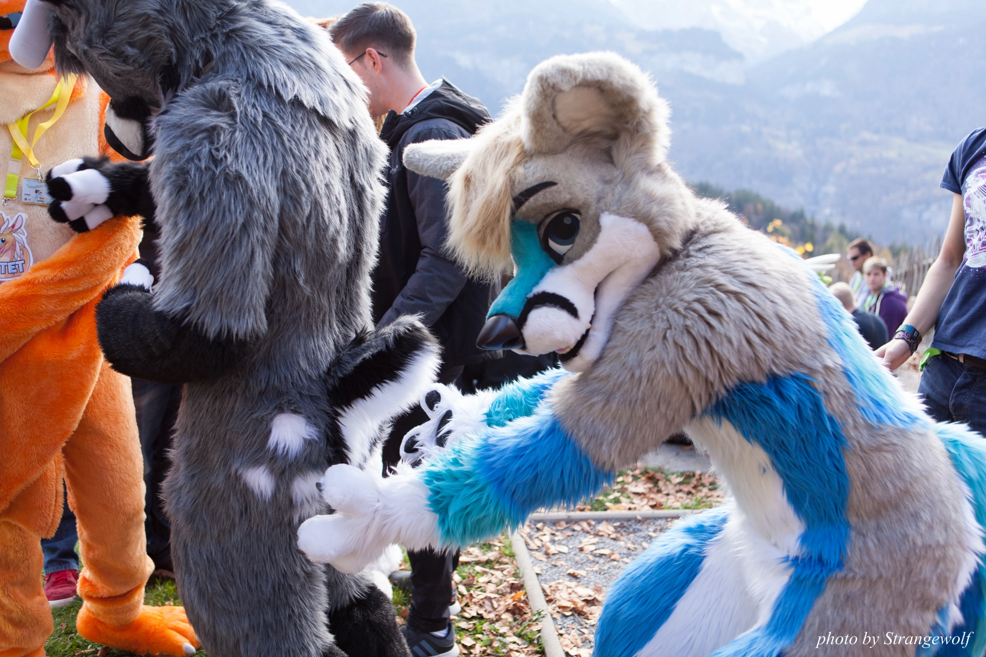 full image IMG_7884-lr19t.jpg