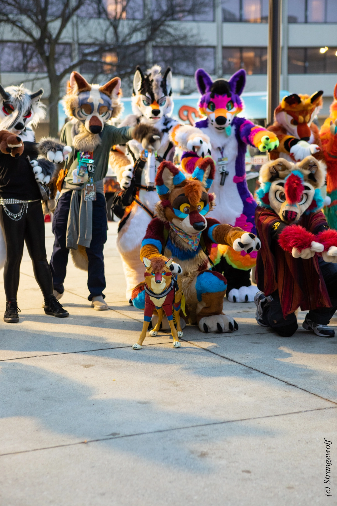 full image 1R3A0269-lr19t.jpg