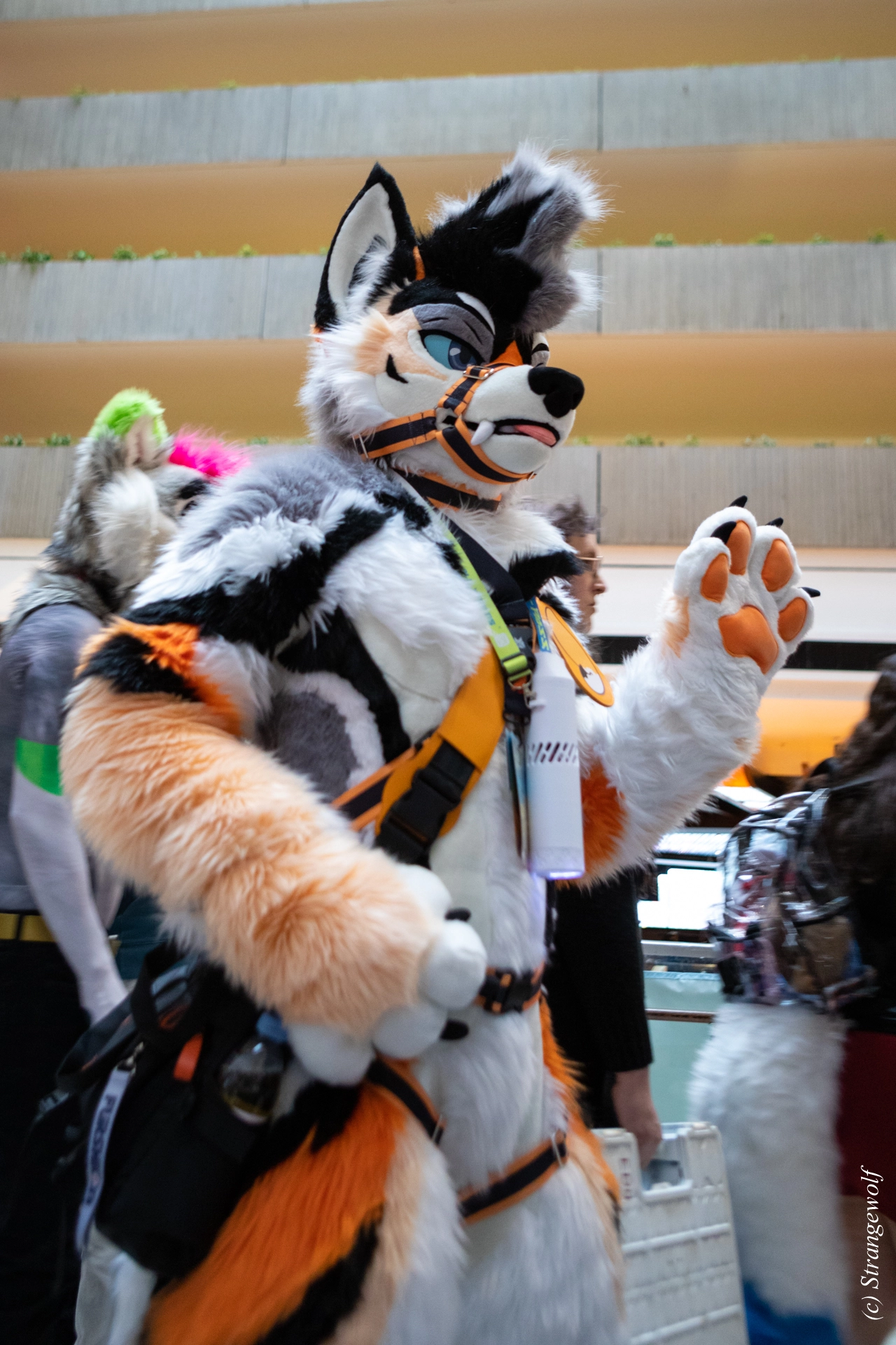 full image 1R3A0216-lr19t.jpg